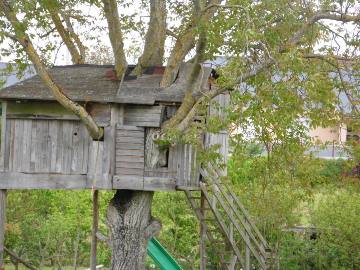 Au Parfum Des Lavandes Précigné Exterior foto
